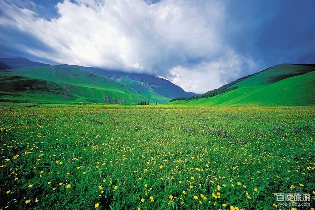 【新疆旅游景点】那拉提草原